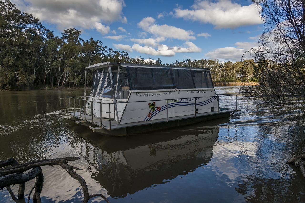 Moama On Murray Houseboats Exteriör bild